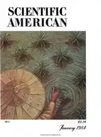 SCIENTIFICAM - January 1984