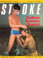 STROKE - Vol 3 No 2