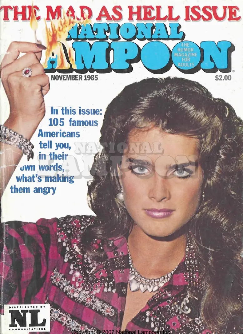 1985 - November 1985 Cover