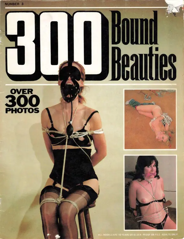 300BOUNDBEAUT - Issue 3 Cover