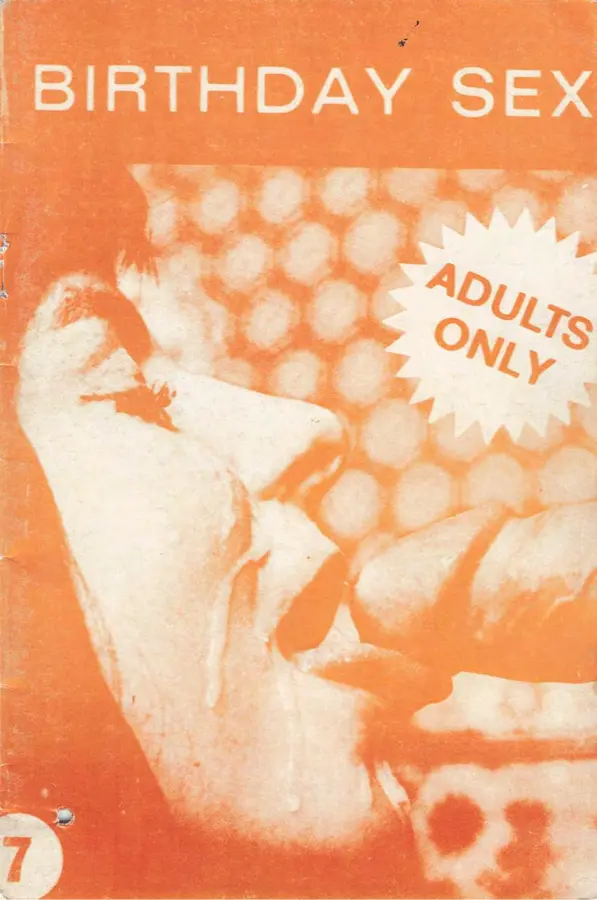 BIRTHDAYSEX - Issue 7 Cover