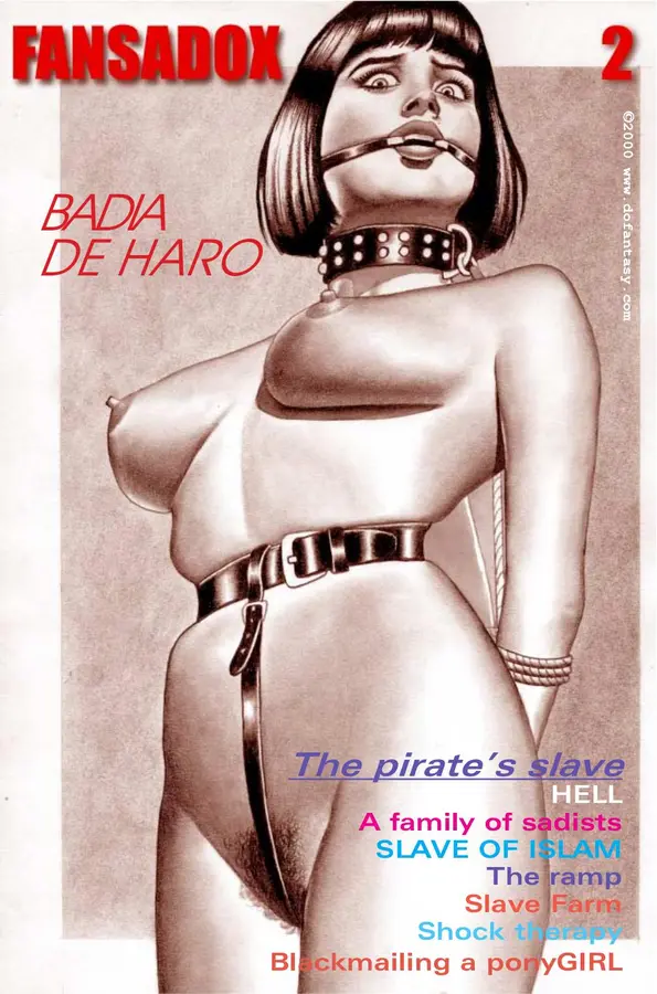 FANSADOX - Issue 2 Cover