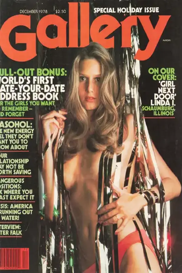 Gallery December 1978 Cover