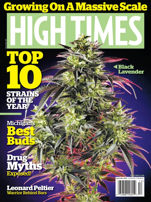 Hightimes - December 2016 Cover