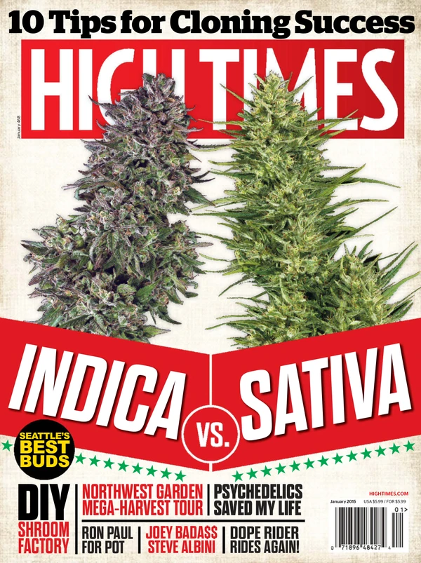 Hightimes - January 2015 Cover