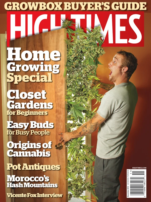 Hightimes - November 2013 Cover