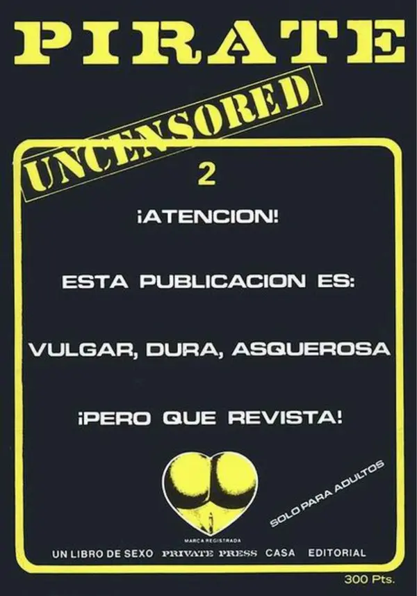 PIRATE - Issue 2 Cover