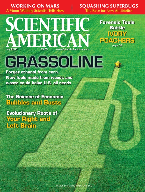 SCIENTIFICAM - 2009 Cover