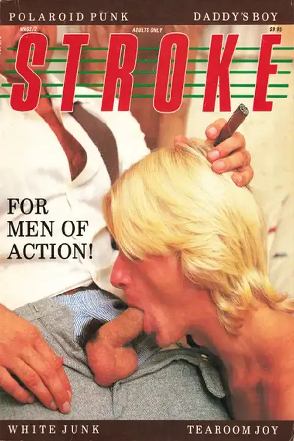 STROKE - Vol 2 No 2 Cover