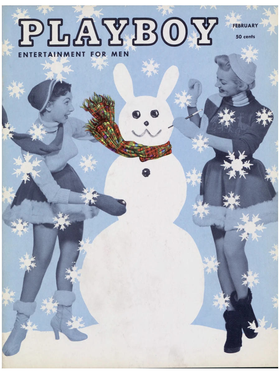 Playboy's Nudes # 17, 2006