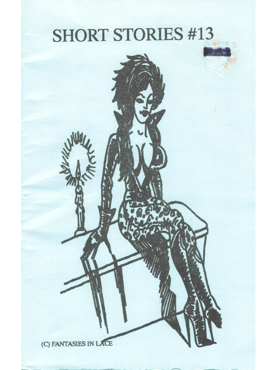 Transvestite Short Stories Book 13