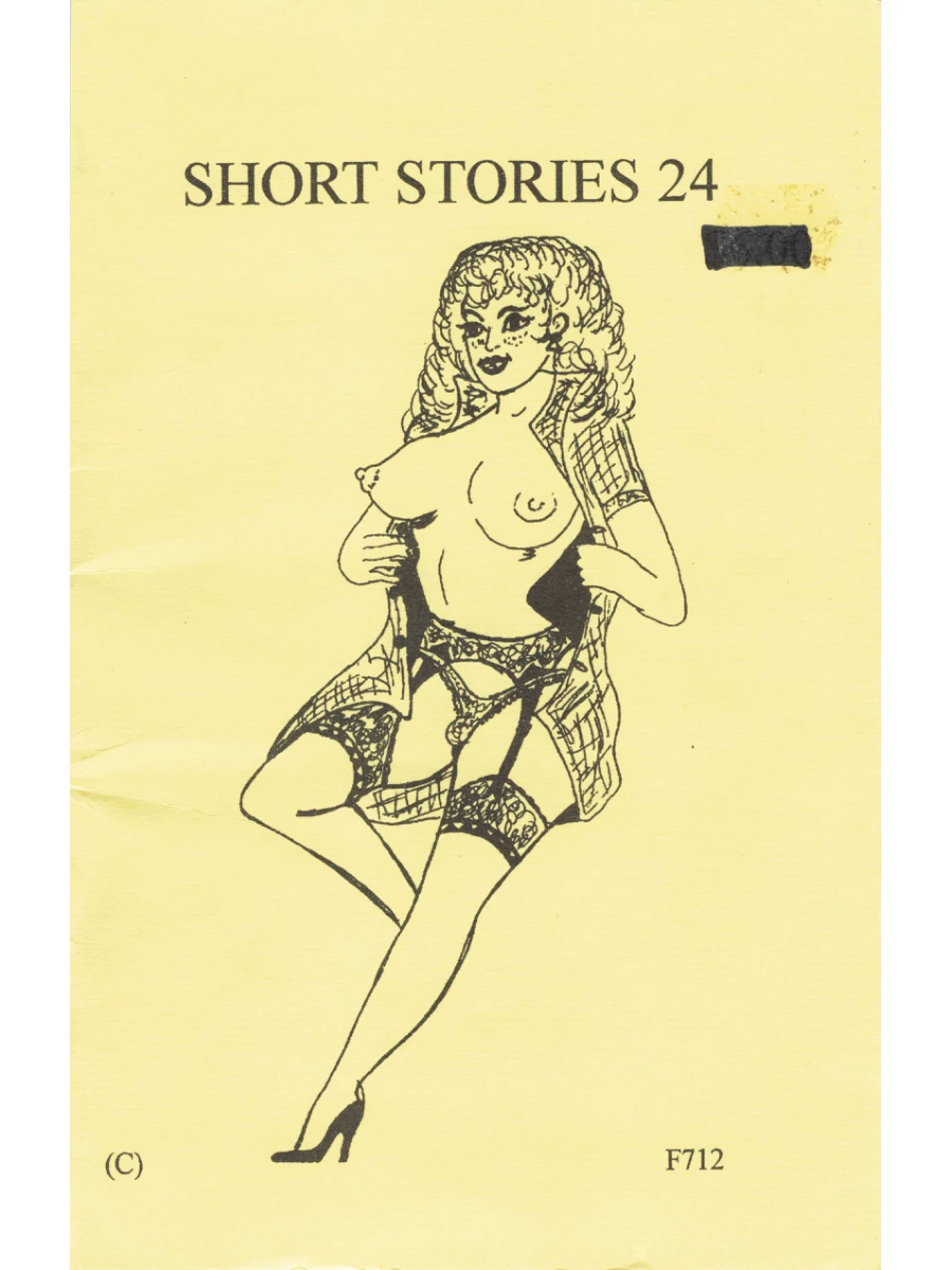 Transvestite Short Stories Book 24